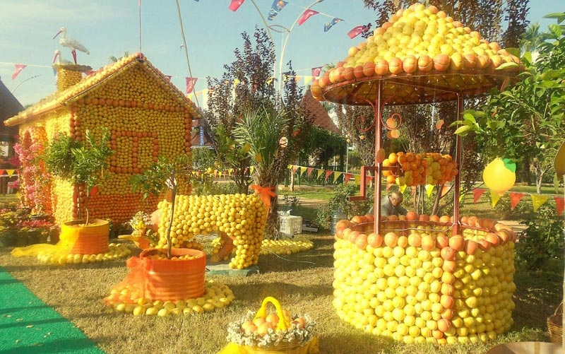 Citrus Festival in Mersin – there are more oranges than people