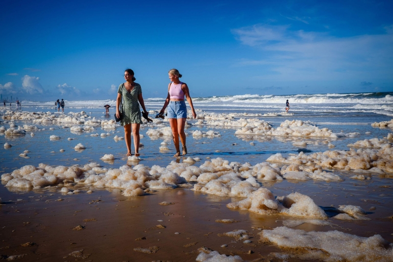 What is the danger of foam on the beaches of Australia — what does it conceal? | Snakes on the beaches