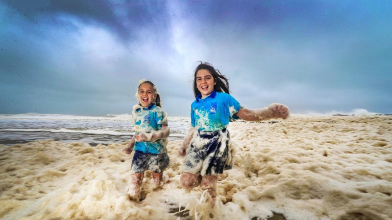 What is the danger of foam on the beaches of Australia — what does it conceal? | Snakes on the beaches