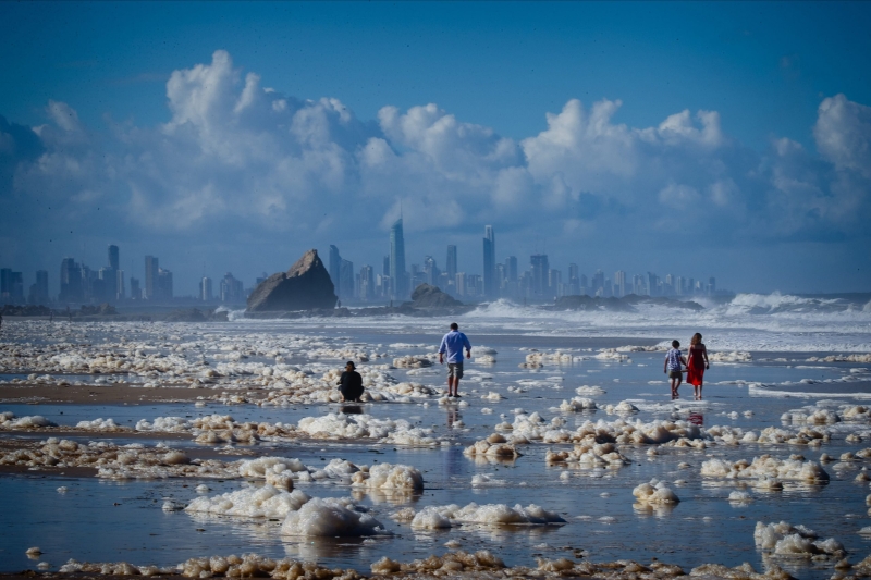 What is the danger of foam on the beaches of Australia — what does it conceal? | Snakes on the beaches