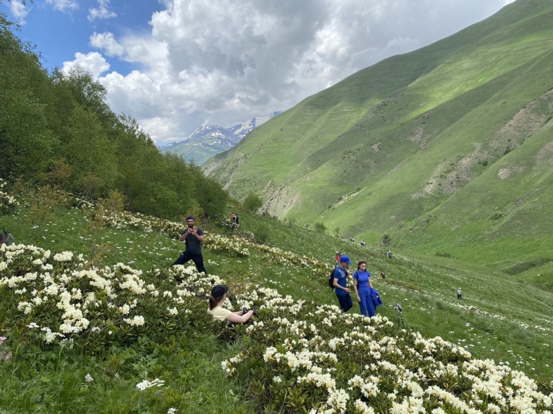 A trip to the Tsmiakom gorge for the flowering of rhododendrons