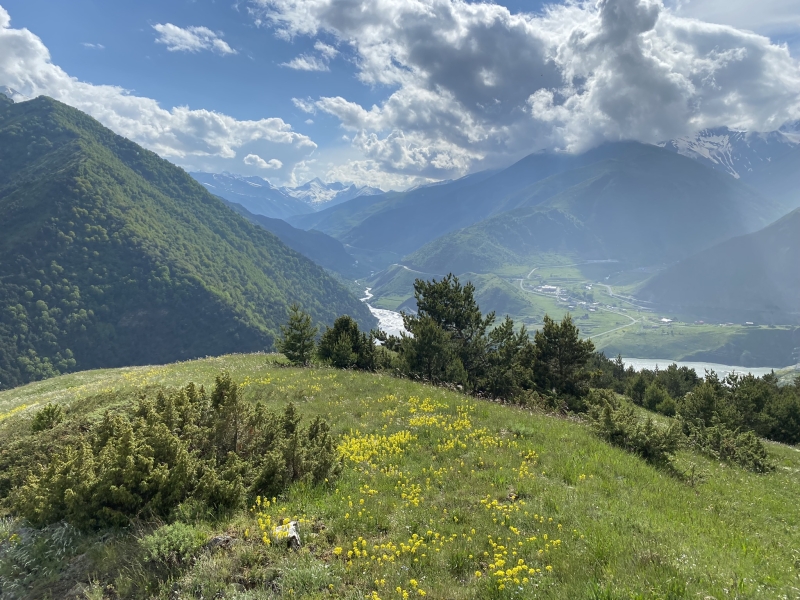 A trip to the Tsmiakom gorge for the flowering of rhododendrons