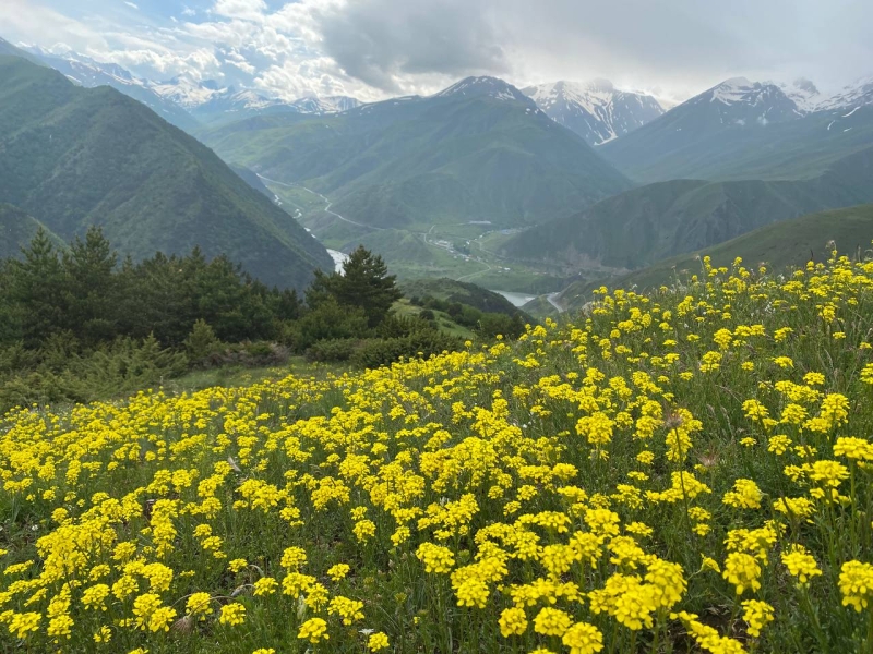 A trip to the Tsmiakom gorge for the flowering of rhododendrons