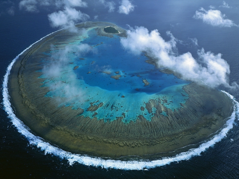 Coral reef — how does it grow and form, what does it consist of? | Photos, videos