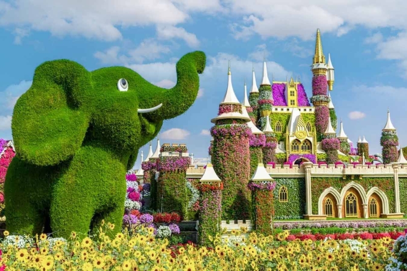 What unusual places in Dubai can make your day perfect?