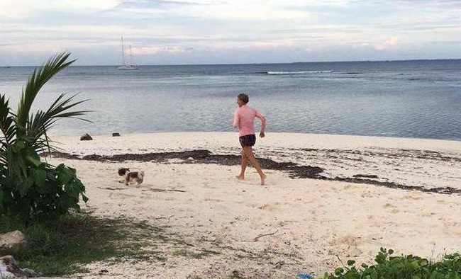 Did you know that dogs are banned in the Maldives? | Why are there no dogs in the Maldives