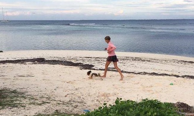 Did you know that dogs are banned in the Maldives? | Why are there no dogs in the Maldives