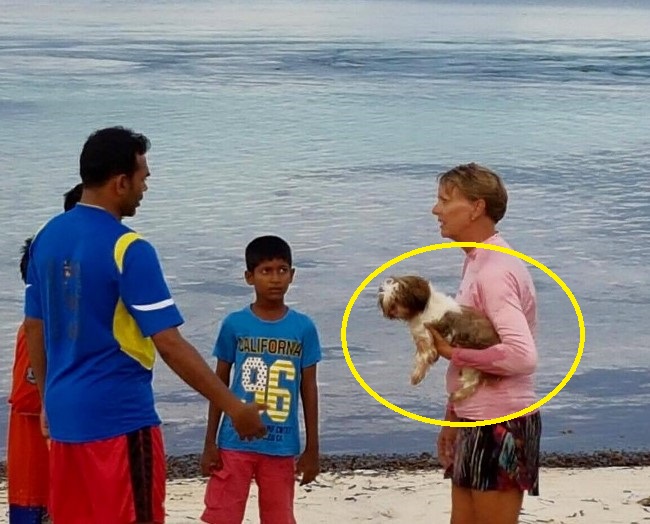 Did you know that dogs are banned in the Maldives? | Why are there no dogs in the Maldives