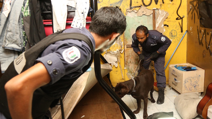 Did you know that dogs are banned in the Maldives? | Why are there no dogs in the Maldives