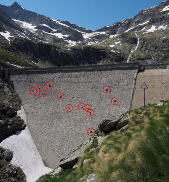 Goats hang on the Diga del Cingino dam in Italy | goats on the dam