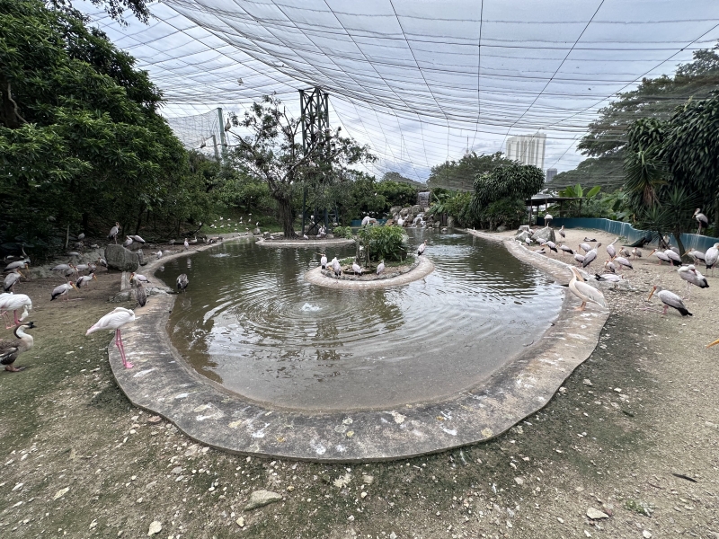 What to see in Kuala Lumpur in 1-6 days: my personal experience