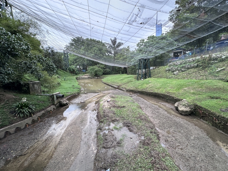 What to see in Kuala Lumpur in 1-6 days: my personal experience