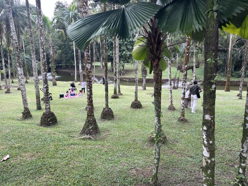 What to see in Kuala Lumpur in 1-6 days: my personal experience