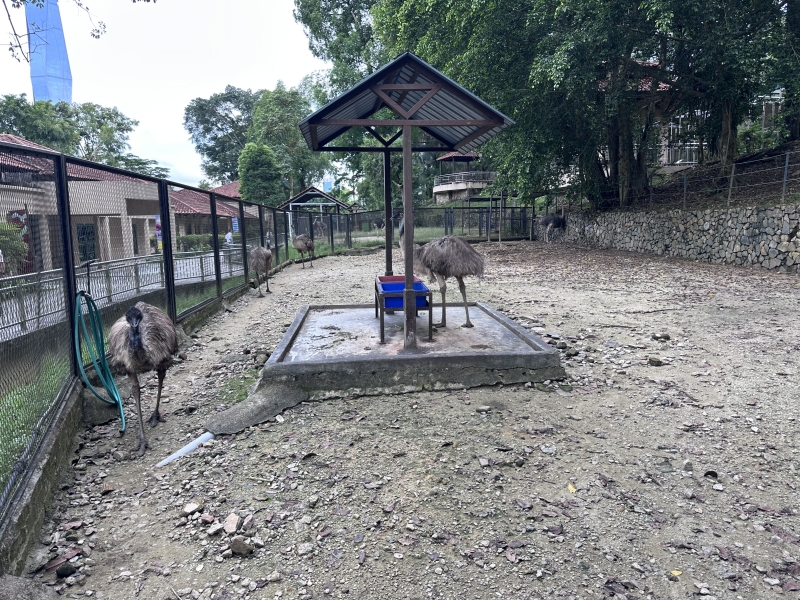 What to see in Kuala Lumpur in 1-6 days: my personal experience