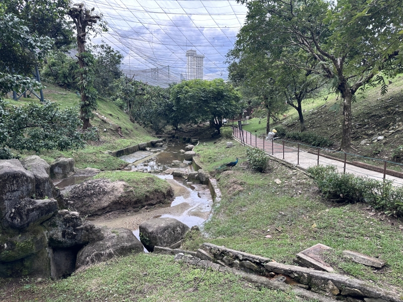 What to see in Kuala Lumpur in 1-6 days: my personal experience