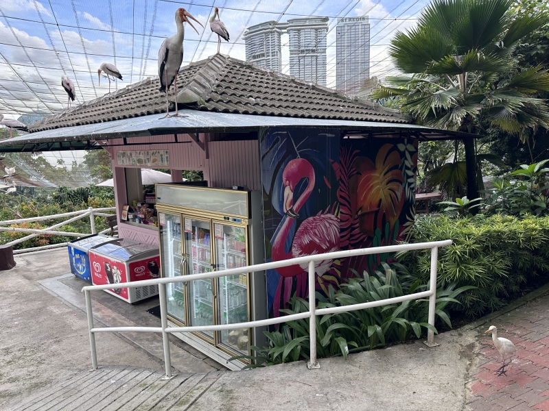 What to see in Kuala Lumpur in 1-6 days: my personal experience