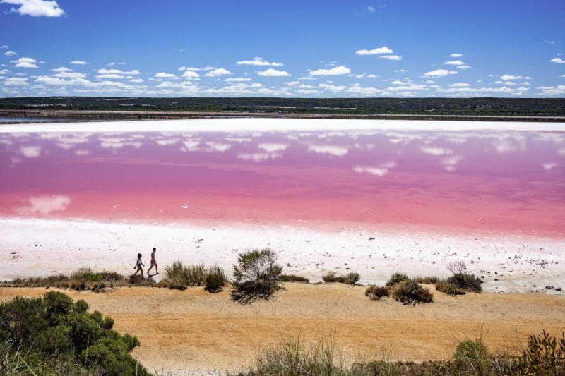 Lake Hiller: Why it's pink and how to see Australia's most unusual lake