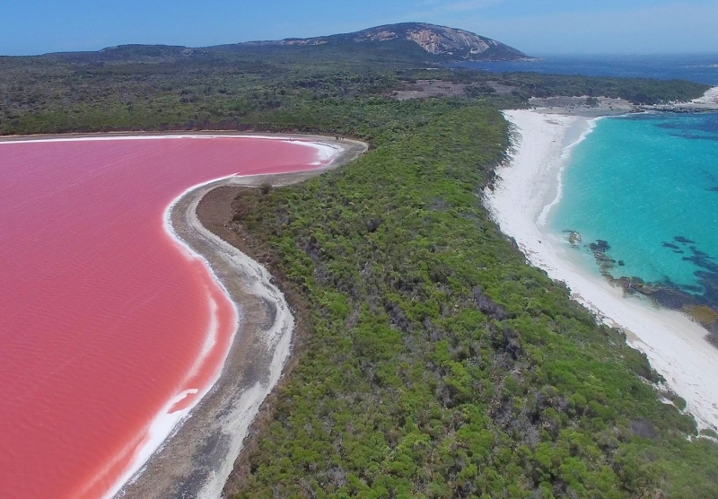 Lake Hiller: Why it's pink and how to see Australia's most unusual lake