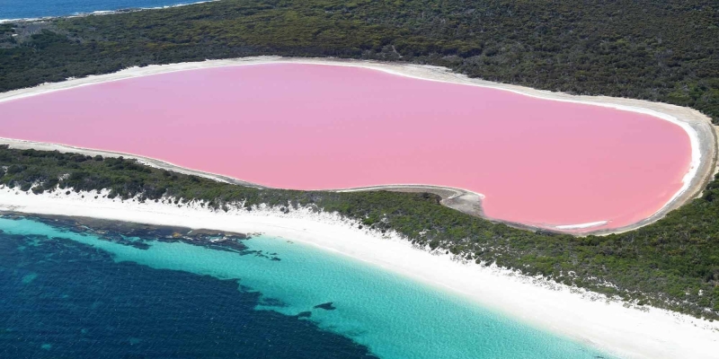 Lake Hiller: Why it's pink and how to see Australia's most unusual lake