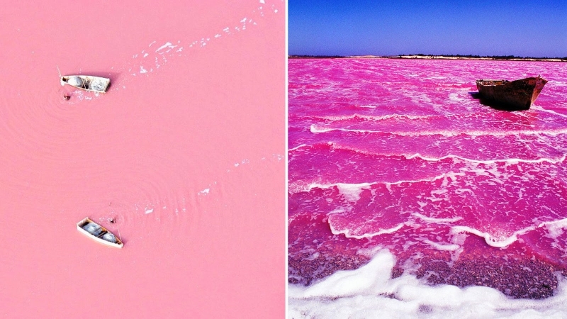 Lake Hiller: Why it's pink and how to see Australia's most unusual lake