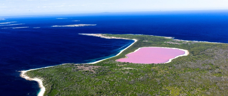 Lake Hiller: Why it's pink and how to see Australia's most unusual lake