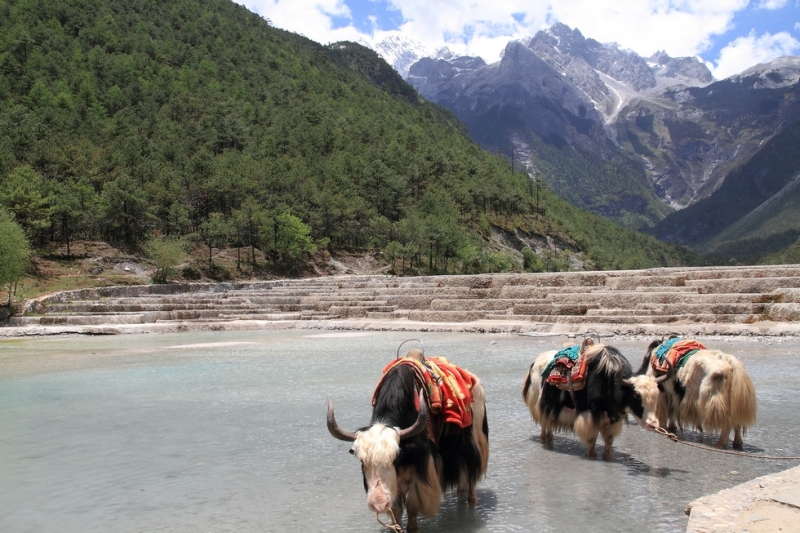 Blue Moon Valley in China — where it is located, turquoise lakes, Mount Yulongxueshan and tourist tips