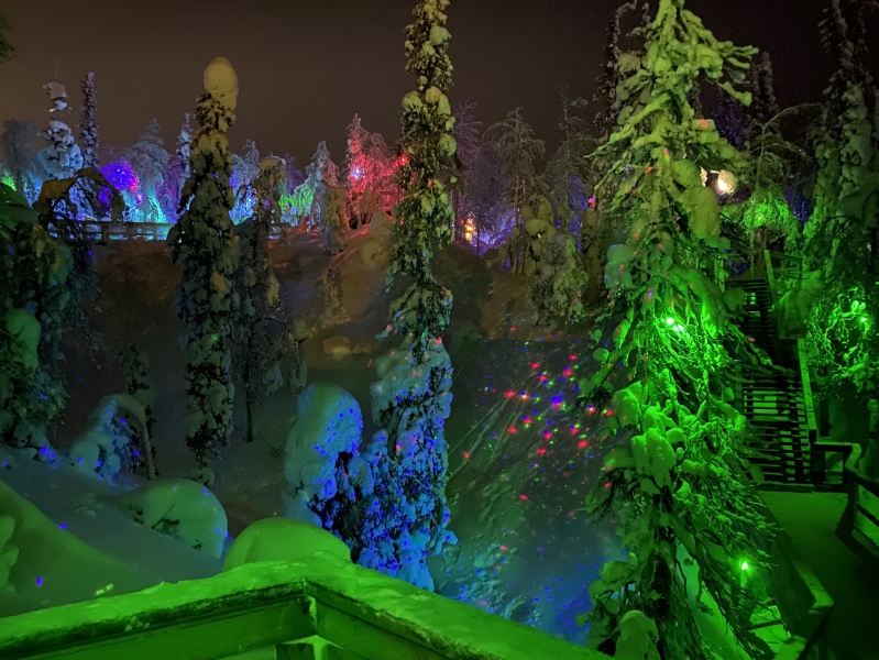 Mysterious Forest Art Park in Kirovsk — how to get there, prices, opening hours and what to see in winter