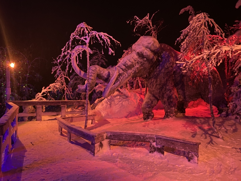 Mysterious Forest Art Park in Kirovsk — how to get there, prices, opening hours and what to see in winter