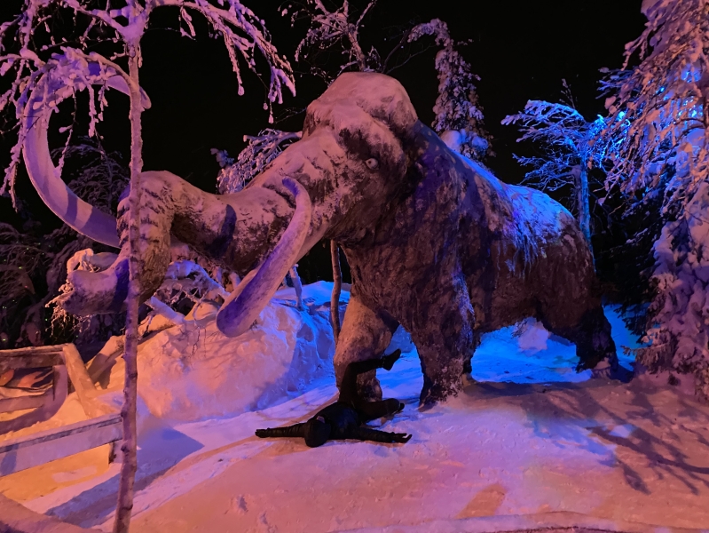Mysterious Forest Art Park in Kirovsk — how to get there, prices, opening hours and what to see in winter