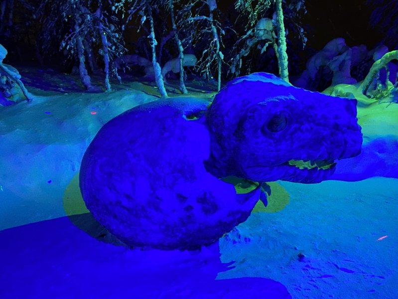Mysterious Forest Art Park in Kirovsk — how to get there, prices, opening hours and what to see in winter