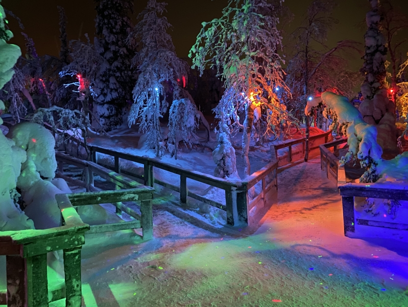 Mysterious Forest Art Park in Kirovsk — how to get there, prices, opening hours and what to see in winter