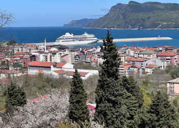 Proemigra Company - review of obtaining Bulgarian citizenship